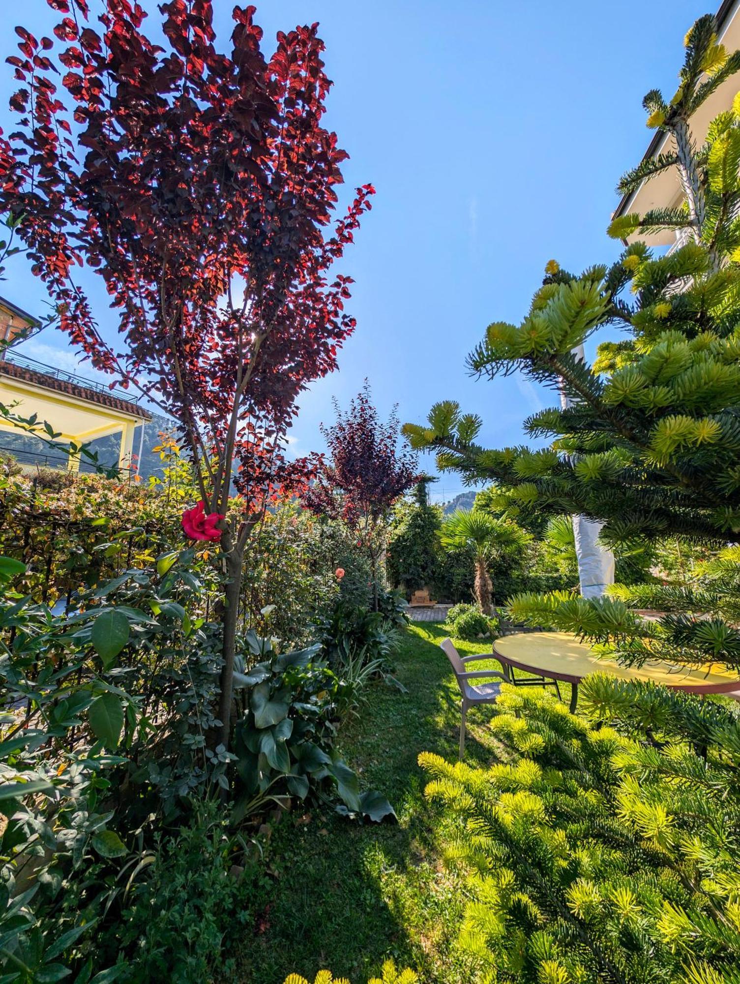 Villa With Garden And Veranda Берат Экстерьер фото